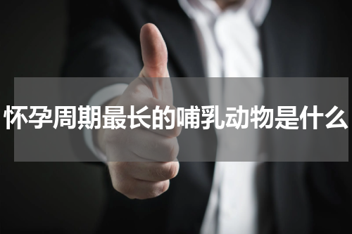 怀孕周期最长的哺乳动物是什么