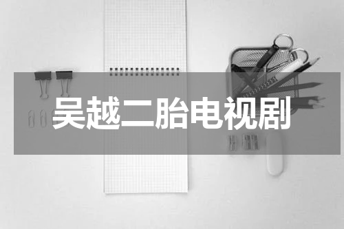 吴越二胎电视剧