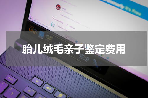 胎儿绒毛亲子鉴定费用