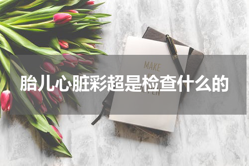 胎儿心脏彩超是检查什么的