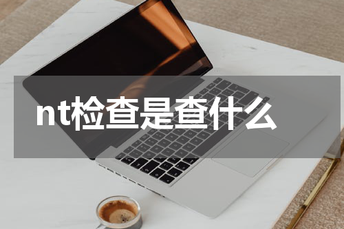 nt检查是查什么