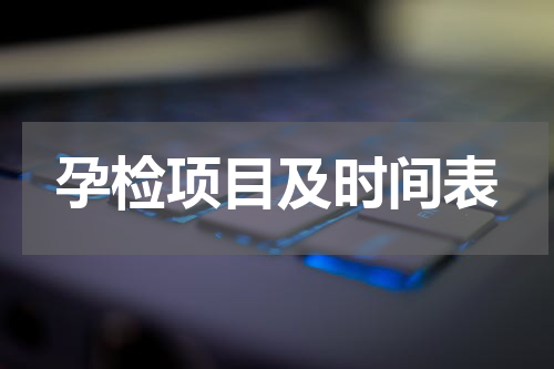 孕检项目及时间表