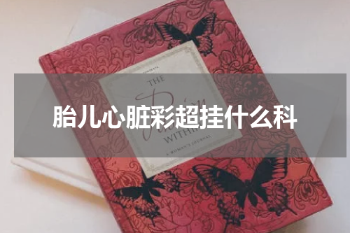 胎儿心脏彩超挂什么科