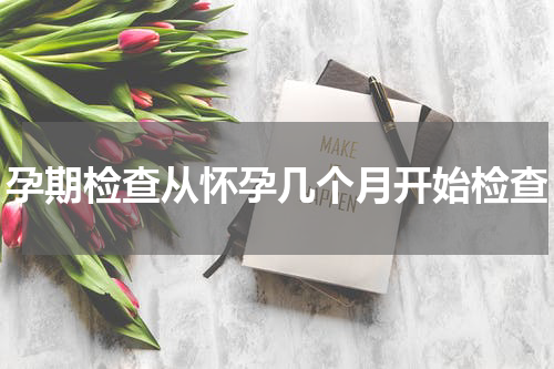 孕期检查从怀孕几个月开始检查