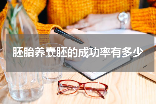 胚胎养囊胚的成功率有多少