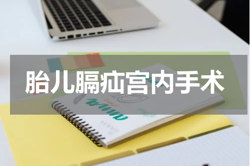 胎儿膈疝宫内手术