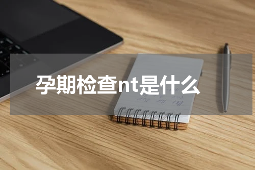 孕期检查nt是什么