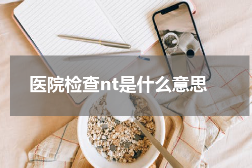 医院检查nt是什么意思