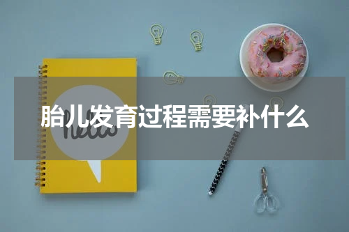 胎儿发育过程需要补什么