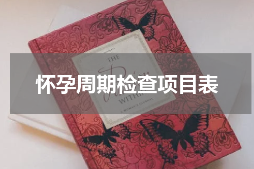 怀孕周期检查项目表