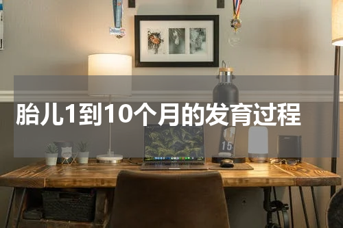 胎儿1到10个月的发育过程