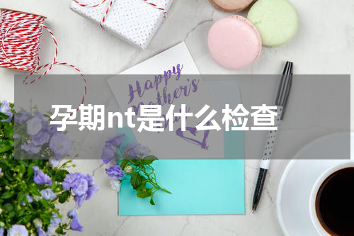 孕期nt是什么检查