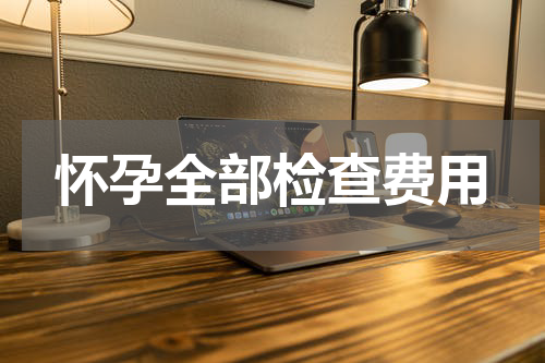 怀孕全部检查费用
