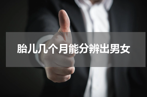 胎儿几个月能分辨出男女