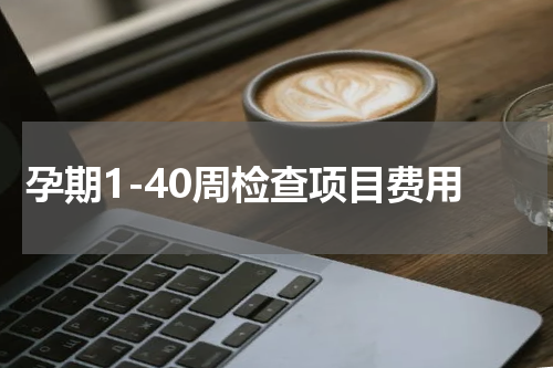 孕期1-40周检查项目费用