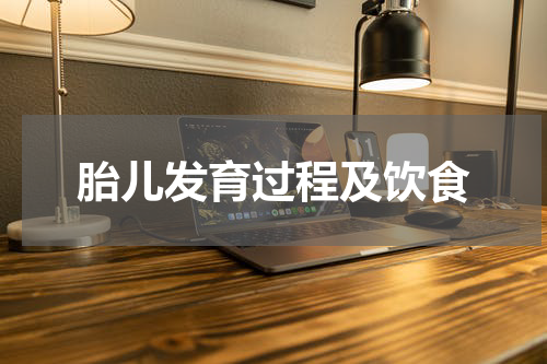 胎儿发育过程及饮食