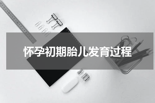 怀孕初期胎儿发育过程