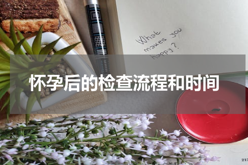 怀孕后的检查流程和时间