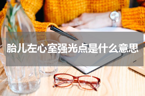 胎儿左心室强光点是什么意思