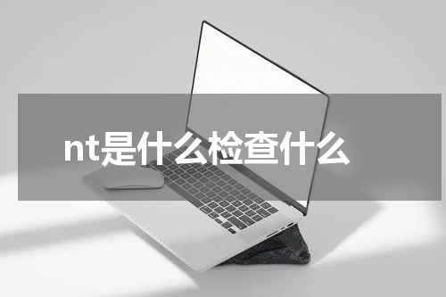 nt是什么检查什么