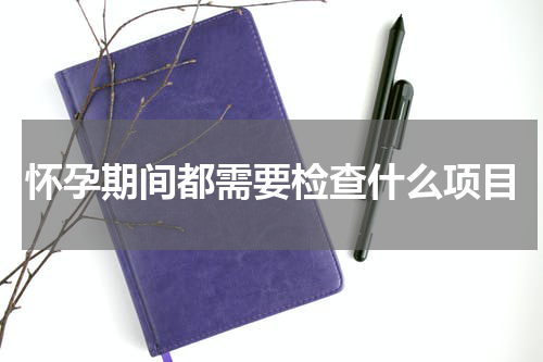 怀孕期间都需要检查什么项目