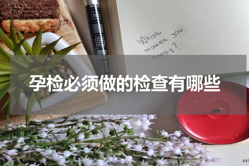孕检必须做的检查有哪些