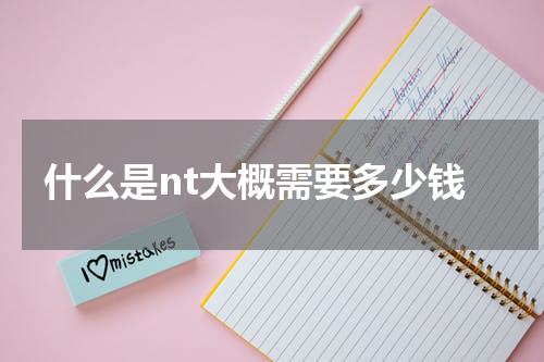 什么是nt大概需要多少钱