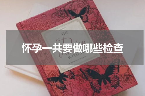 怀孕一共要做哪些检查