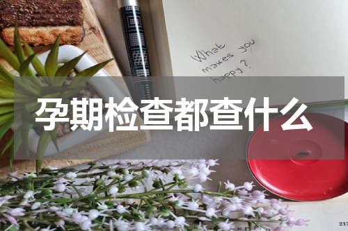 孕期检查都查什么