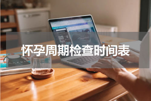 怀孕周期检查时间表