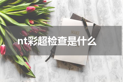 nt彩超检查是什么