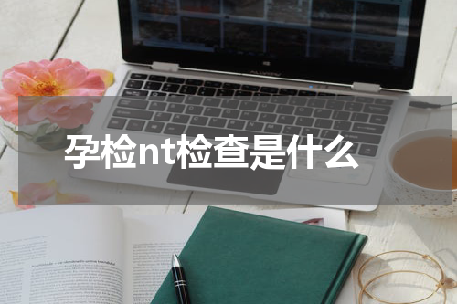 孕检nt检查是什么
