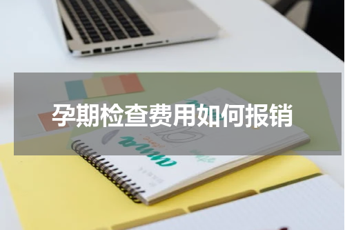 孕期检查费用如何报销
