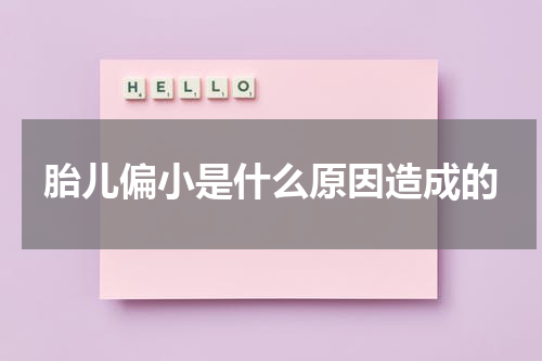 胎儿偏小是什么原因造成的
