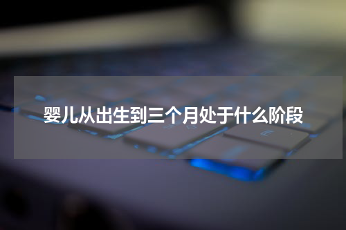 婴儿从出生到三个月处于什么阶段