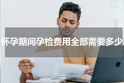怀孕期间孕检费用全部需要多少