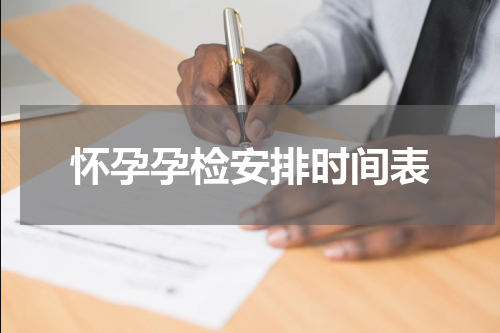 怀孕孕检安排时间表
