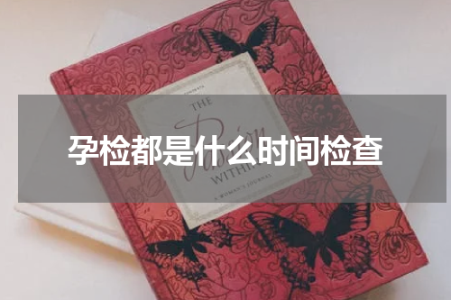 孕检都是什么时间检查
