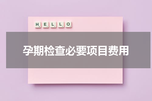 孕期检查必要项目费用