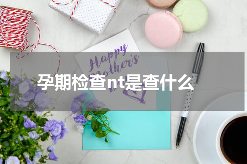 孕期检查nt是查什么