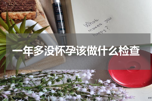 一年多没怀孕该做什么检查