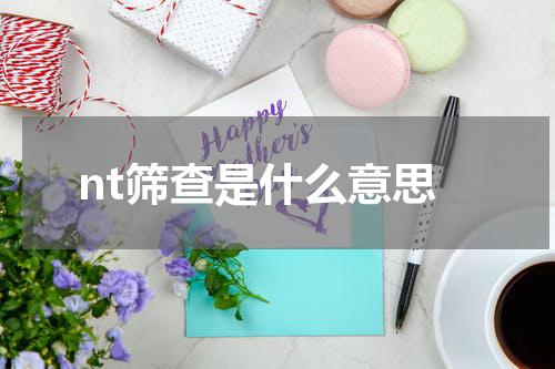 nt筛查是什么意思