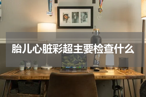 胎儿心脏彩超主要检查什么