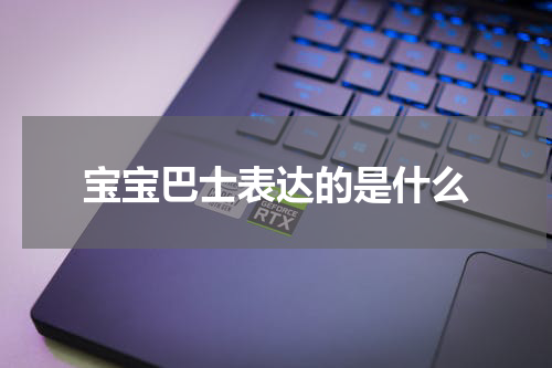 宝宝巴士表达的是什么