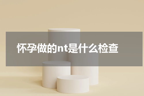 怀孕做的nt是什么检查