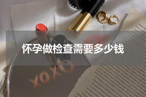 怀孕做检查需要多少钱