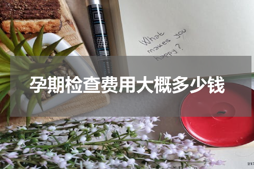 孕期检查费用大概多少钱