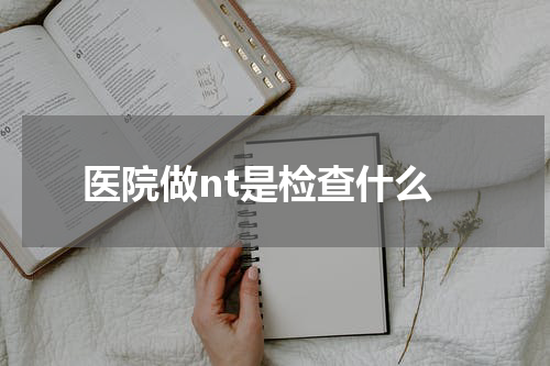 医院做nt是检查什么