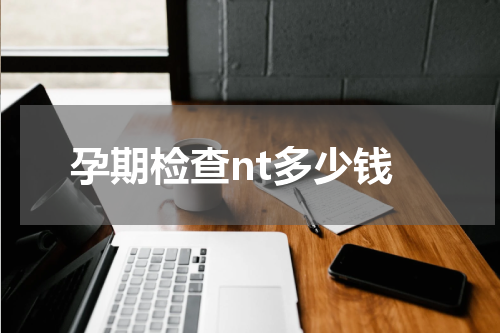 孕期检查nt多少钱