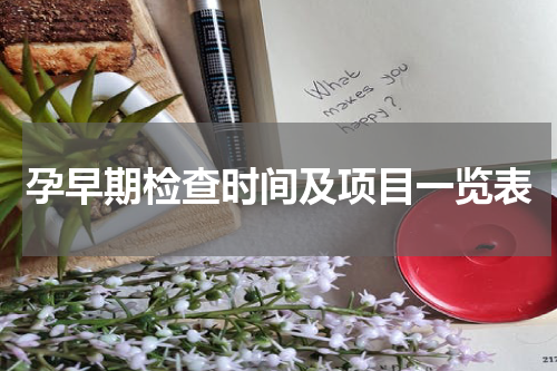 孕早期检查时间及项目一览表